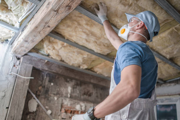 Types of Insulation We Offer in Finneytown, OH